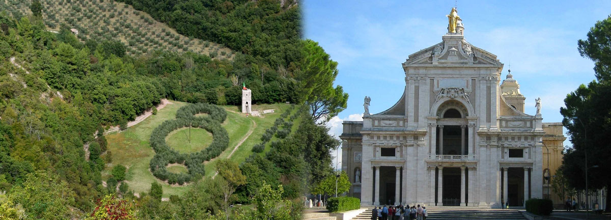 Tour di Assisi e Santa Maria degli Angeli con maggiolino o pulmino Volkswagen
