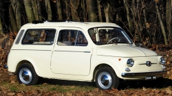 Noleggio Fiat 500 Giardiniera 1961 Novara Piemonte Lombardia