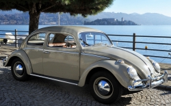 Noleggio Volkswagen Maggiolino 1963 in Piemonte e Lombardia