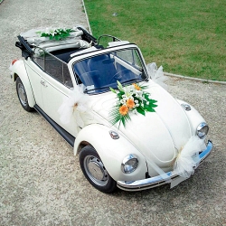 Noleggio Volkswagen Maggiolone nelle Marche Urbino Pesaro Macerata Ancona