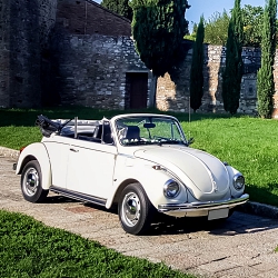 Noleggio Maggiolino in Toscana Arezzo Siena Grosseto Firenze Prato Lucca Pisa Pistoia Cortona