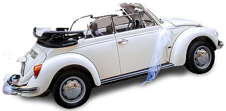 Classici pulmini Volkswagen Transporter (hippies figli dei fiori), il sempreverde Maggiolino cabriolet d’epoca