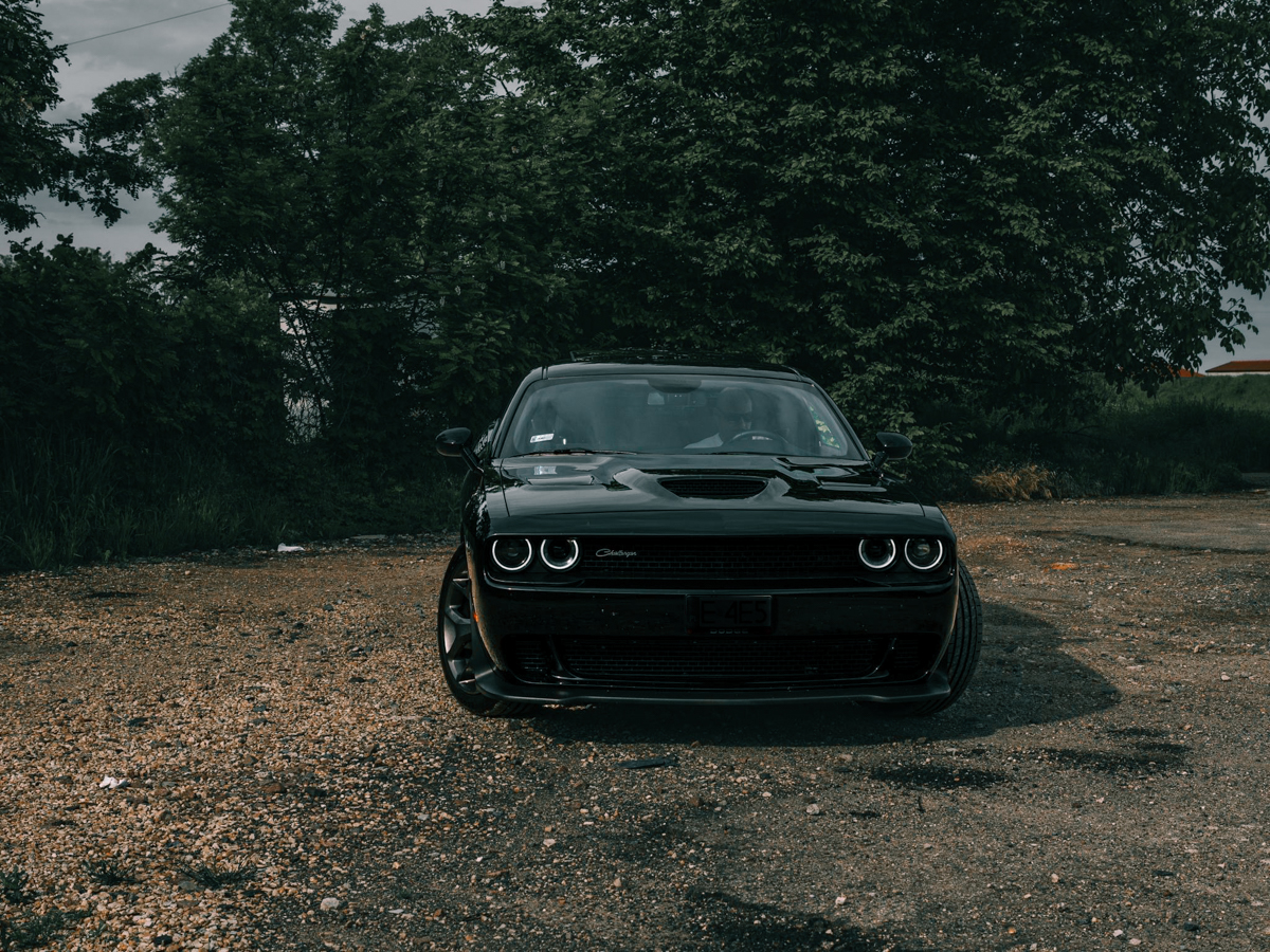 Dodge Challenger 3.6 V6 310cv