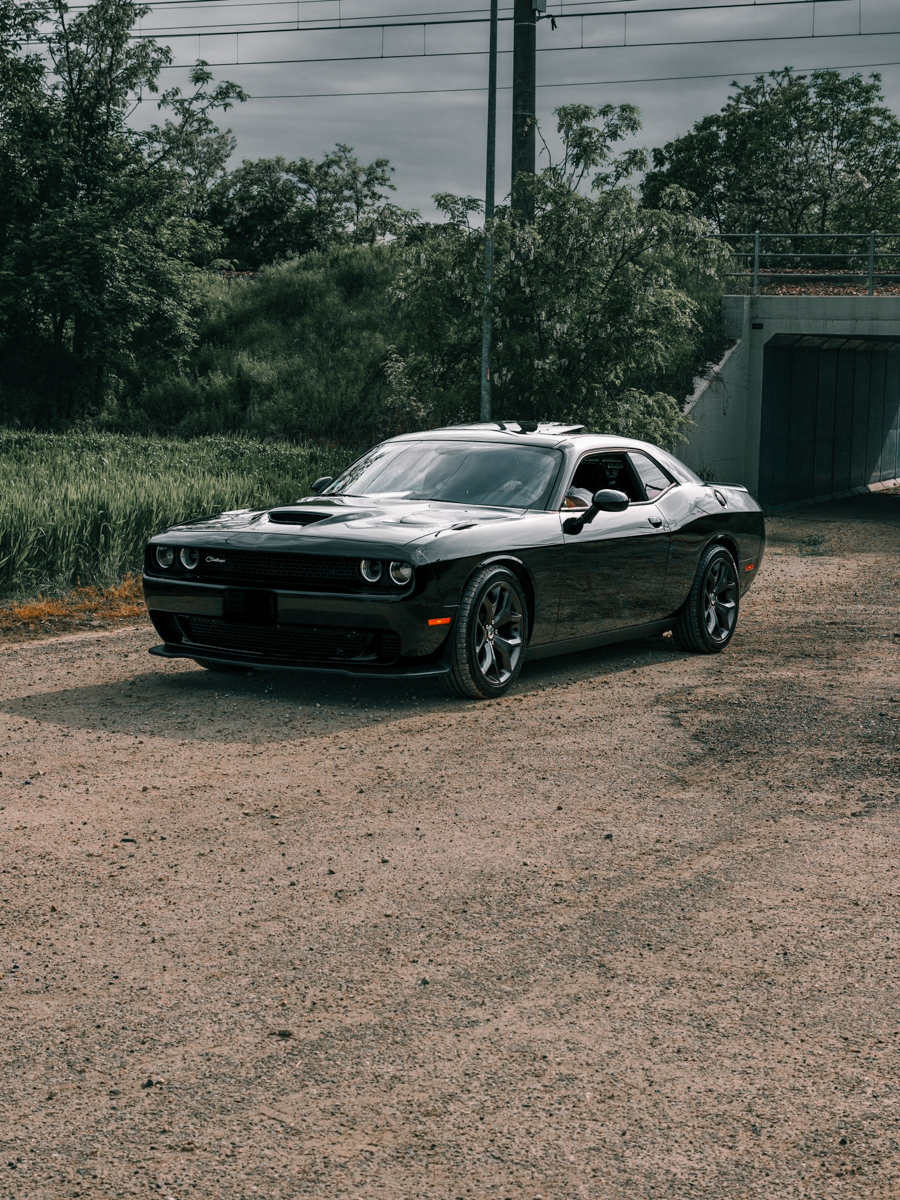 Dodge Challenger 3.6 V6 310cv